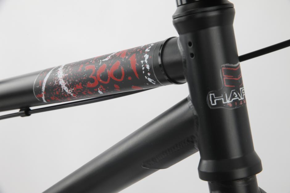 2011 Haro 300.1