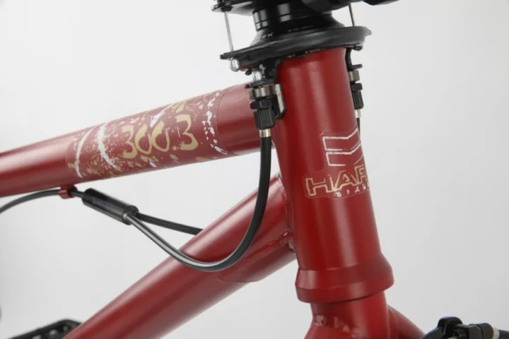 2011 Haro 300.3