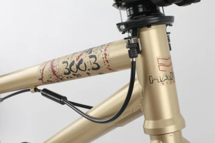 2011 Haro 300.3