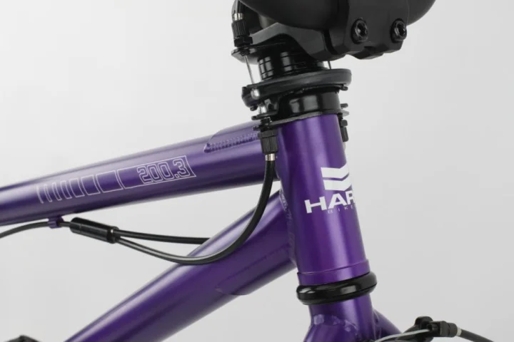 2011 Haro 200.3