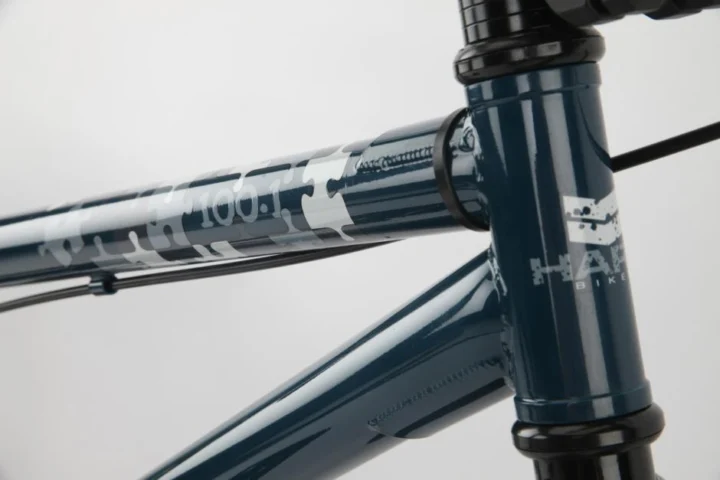 2011 Haro 100.1