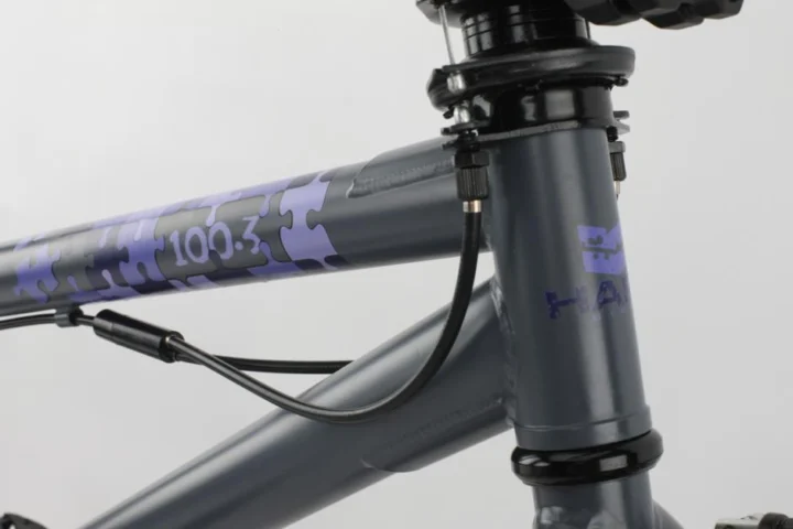 2011 Haro 100.3