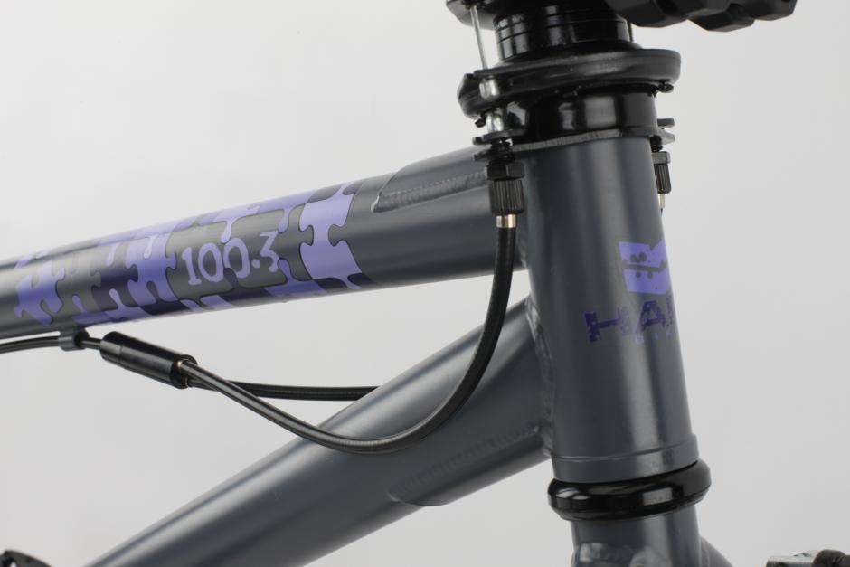 2011 Haro 100.3