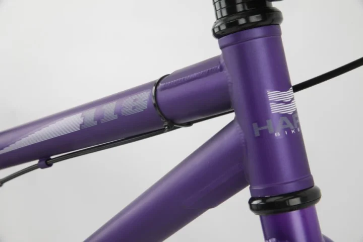 2011 Haro 118