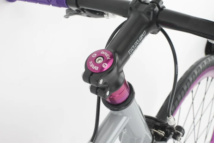 2011 Masi Speciale Fixed Flat