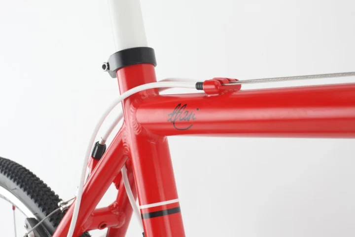 2011 Masi CXR