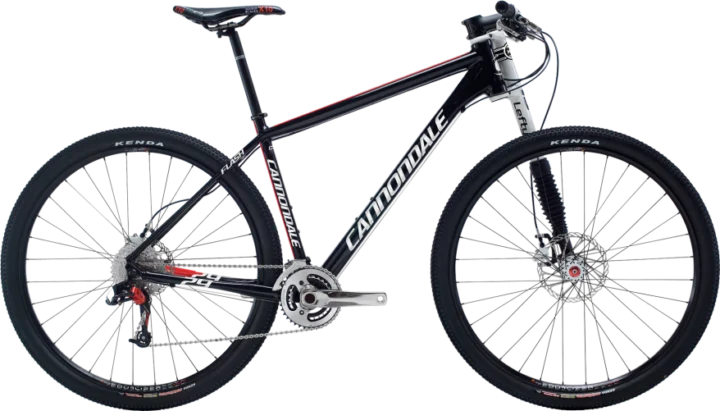 2011 Cannondale Flash 29'er 1