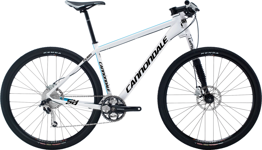 2011 Cannondale Flash 29'er 2