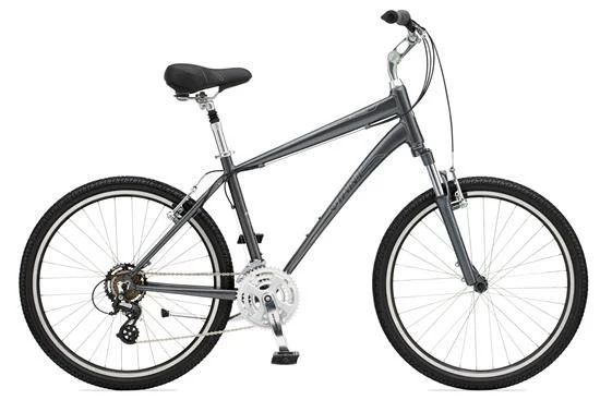 2011 Giant Sedona