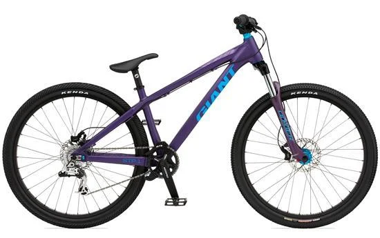 2011 Giant STP 1