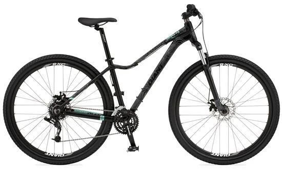 2011 Giant Rainer 29er