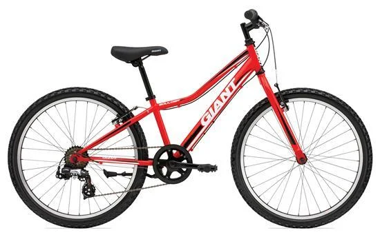 2011 Giant Boulder JR
