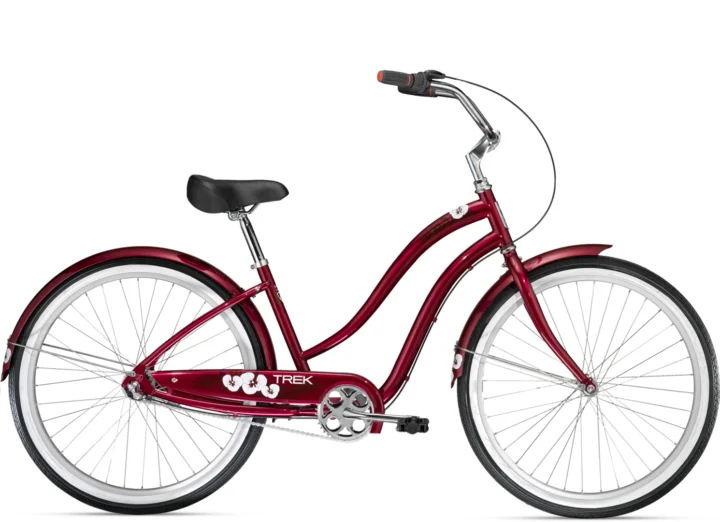 2011 Trek Classic Steel 3-Speed Women's