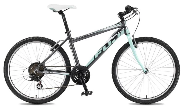 2011 Fuji Nevada 5.0 Step Thru