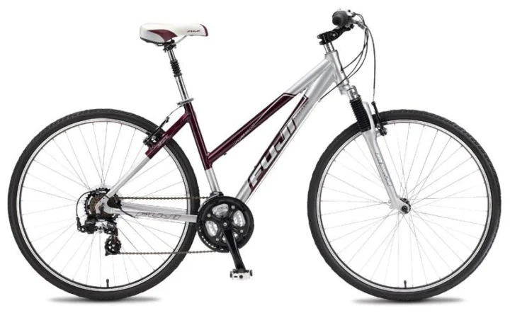 2011 Fuji Sunfire 4.0 Step Thru