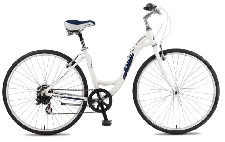 2011 Fuji Crosstown 3.0 Step Thru