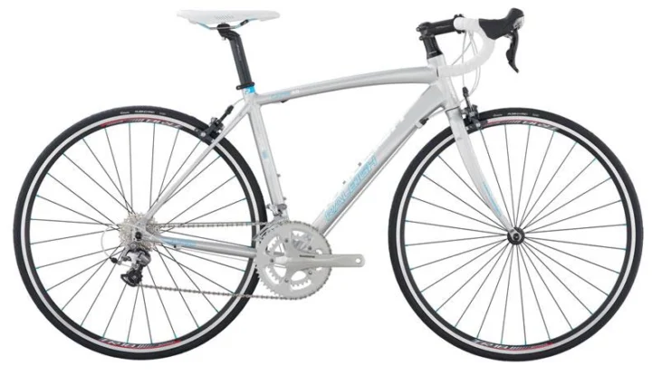 2011 Raleigh Capri 3.0