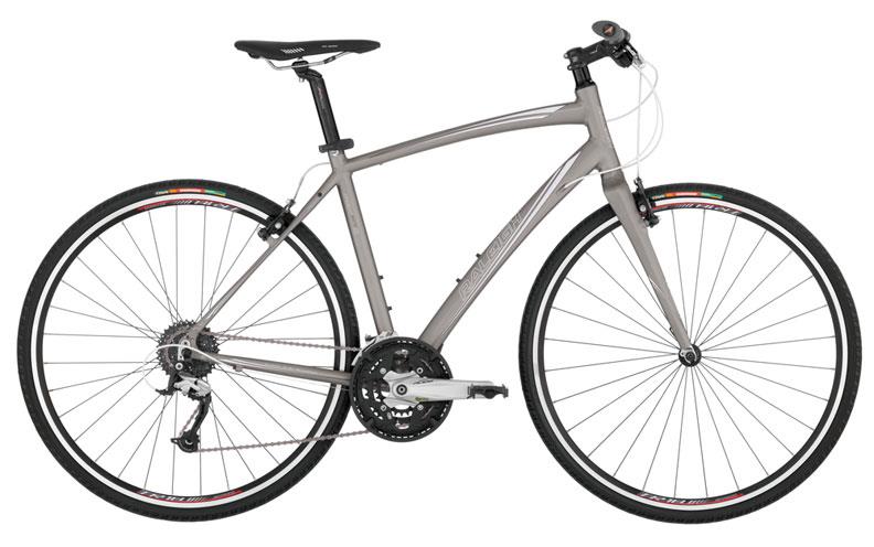 2011 Raleigh CADENT FT2