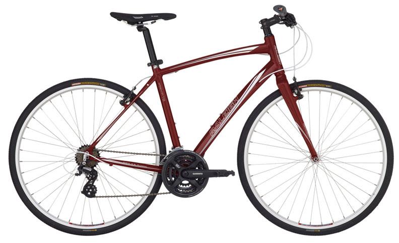 2011 Raleigh CADENT FT0
