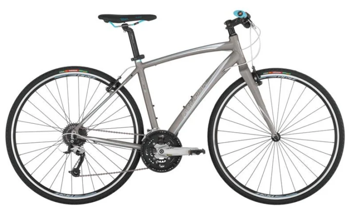 2011 Raleigh ALYSA FT2