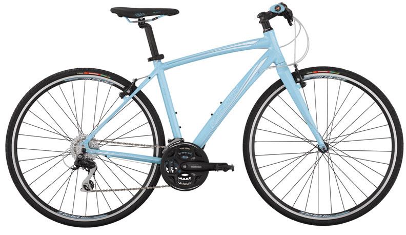 2011 Raleigh ALYSA FT1