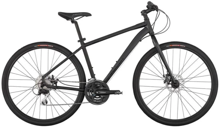 2011 Raleigh Misceo