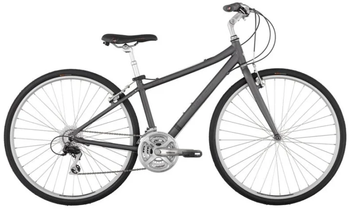 2011 Raleigh Detour 4.5