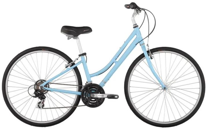 2011 Raleigh Detour 3.5