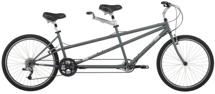 2011 Raleigh Companion