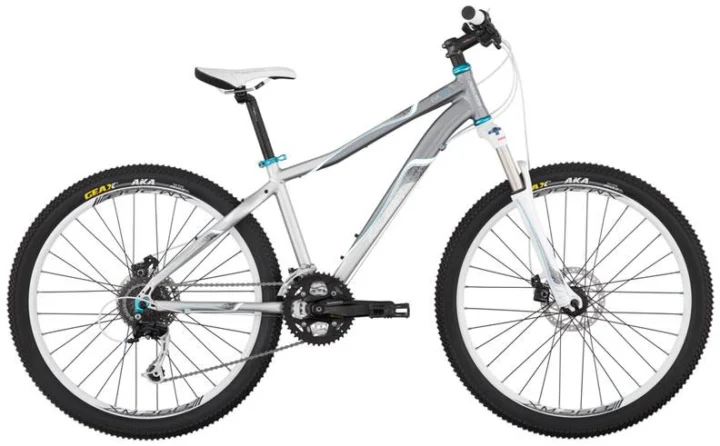 2011 Raleigh EVO 8.0