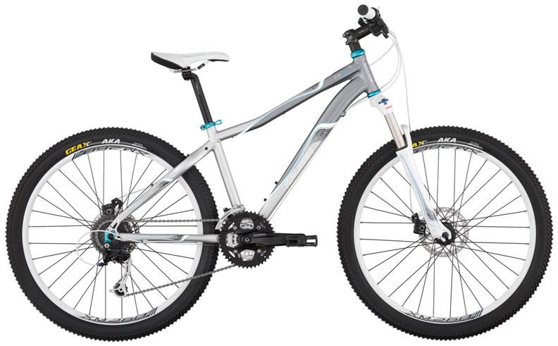 2011 Raleigh EVO 8.0