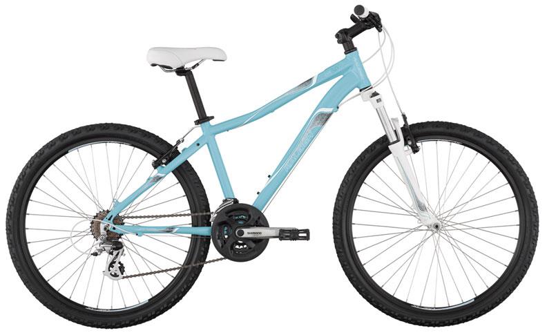 2011 Raleigh EVA 3.0
