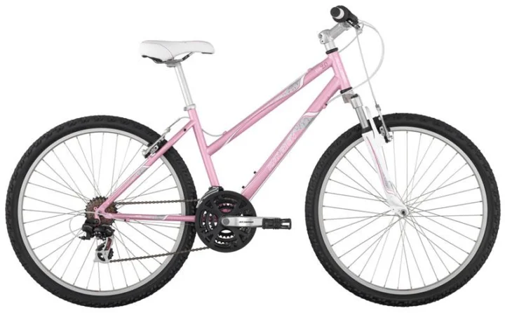2011 Raleigh Eva 2.0