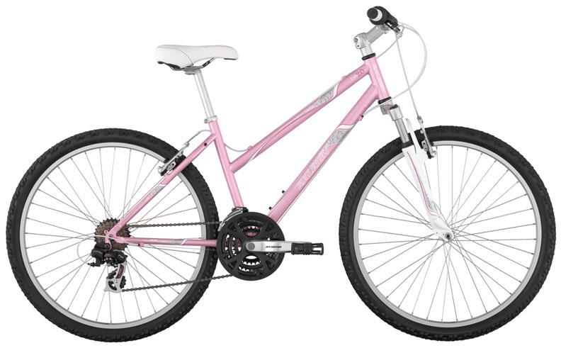 2011 Raleigh EVA 2.0