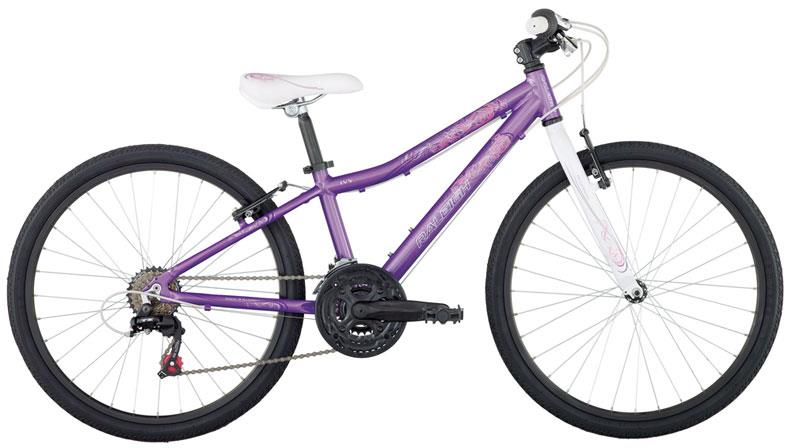 2011 Raleigh IVY