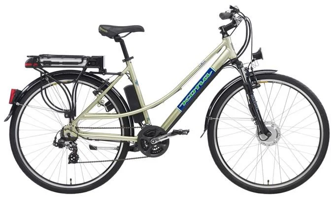2011 Kona Token (Electric)