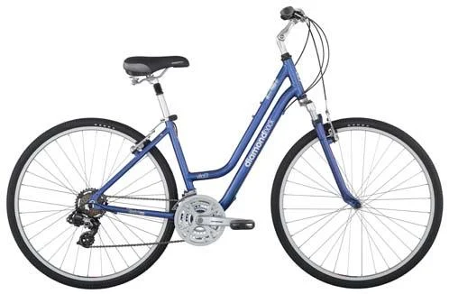 2011 Diamondback Vital 2