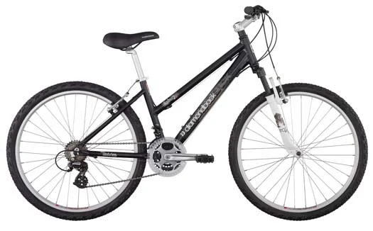 2011 Diamondback Lustre 2