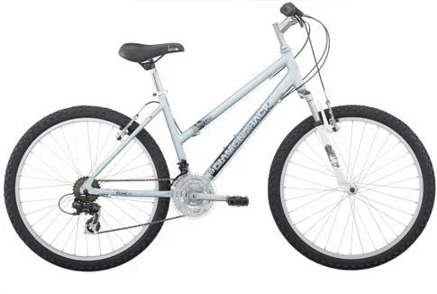 2011 Diamondback Lustre 1