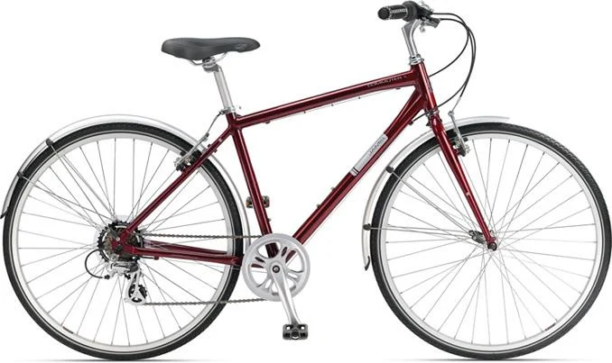 2011 Jamis Commuter 1