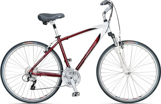 2011 Jamis Citizen 3