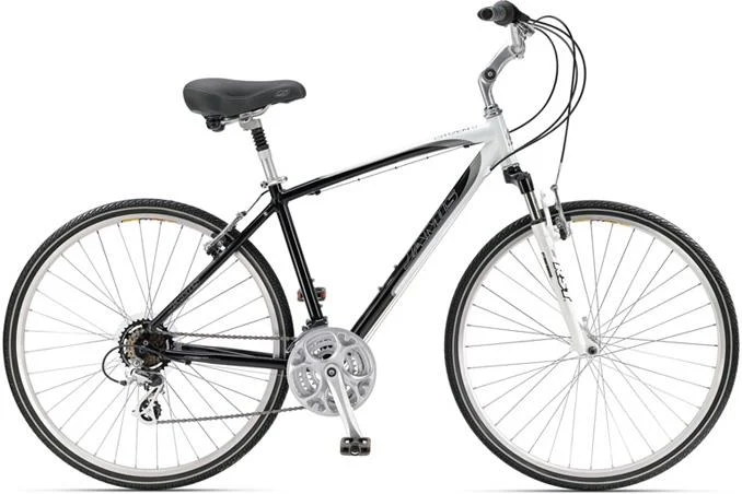 2011 Jamis Citizen 2
