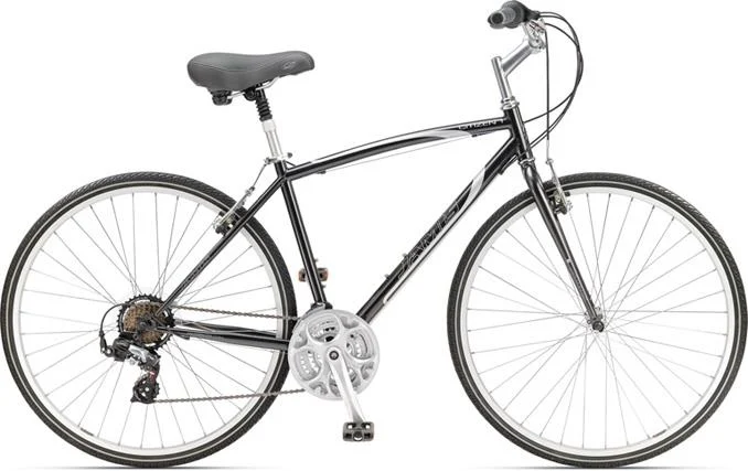 2011 Jamis Citizen 1
