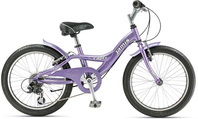 2011 Jamis 275