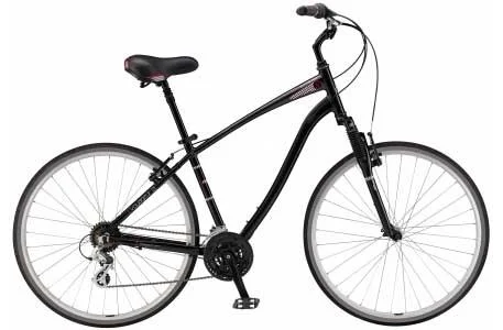 2011 Schwinn Voyageur 21