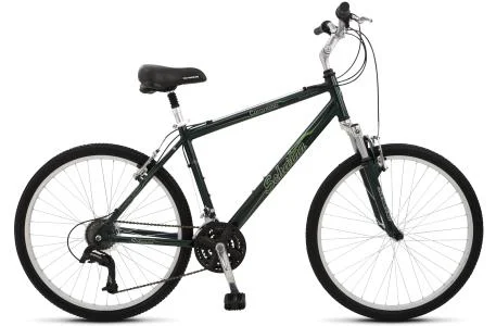 2011 Schwinn Coronado