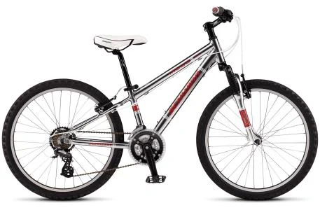 2011 Schwinn Midi Mesa