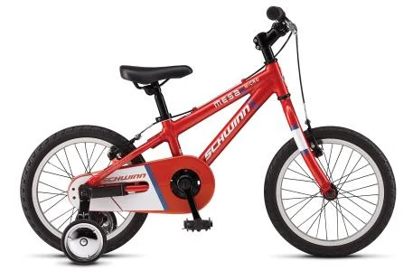 2011 Schwinn Micro Mesa