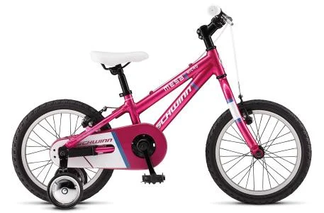 2011 Schwinn Micro Mesa Girl's