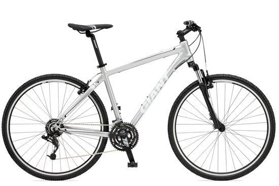 2011 Giant Roam 2